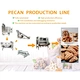 Auto Kernel Extraction Pecan Kernel Extraction Line